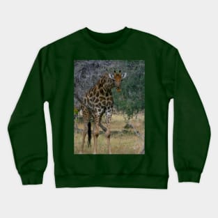 Giraffe  Staredown Crewneck Sweatshirt